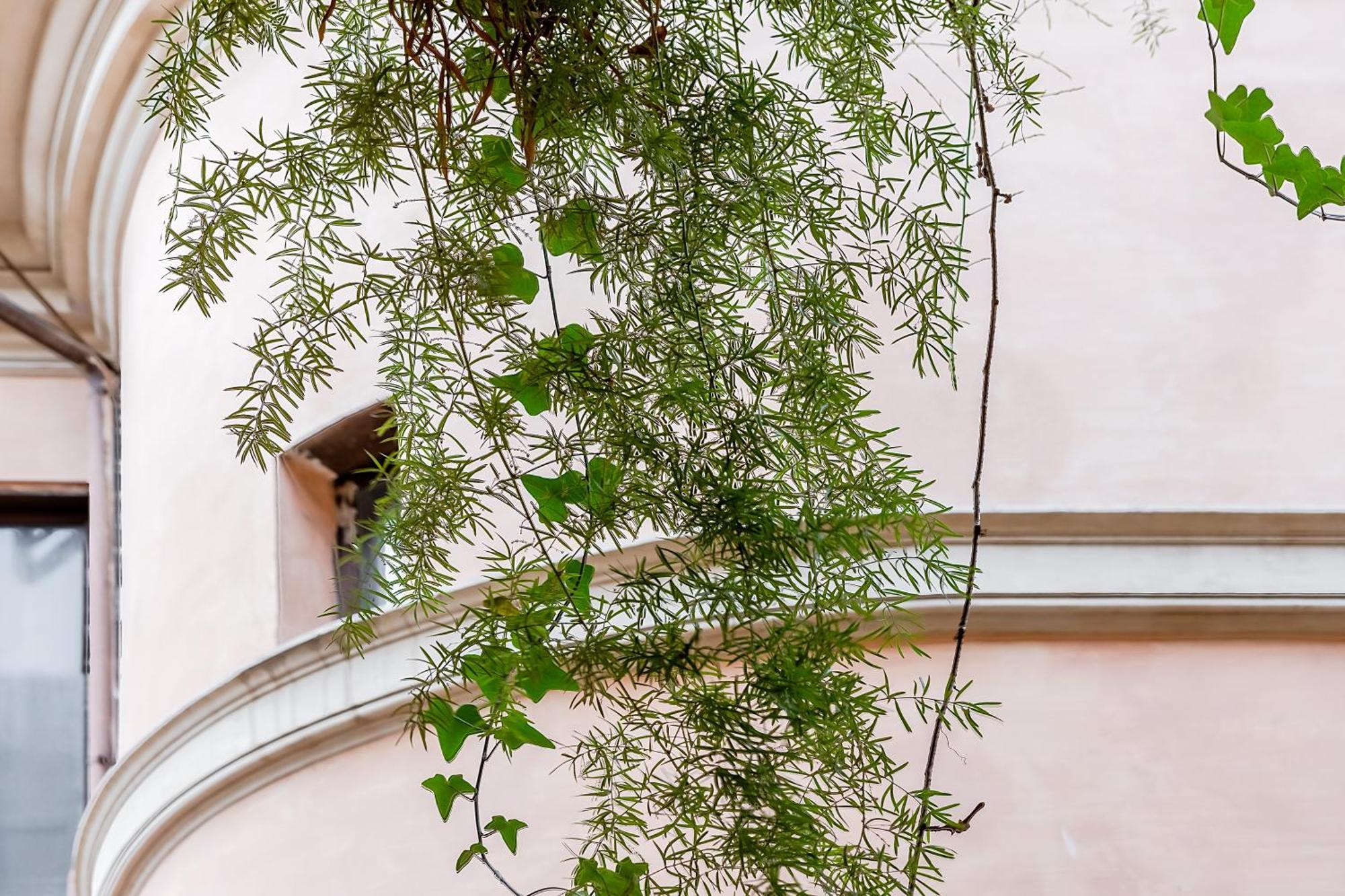 Trevi Fountain Stylish Guest House ローマ エクステリア 写真